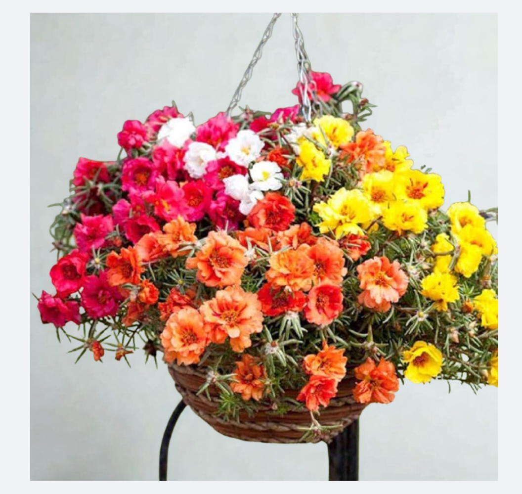 Калдаръмче