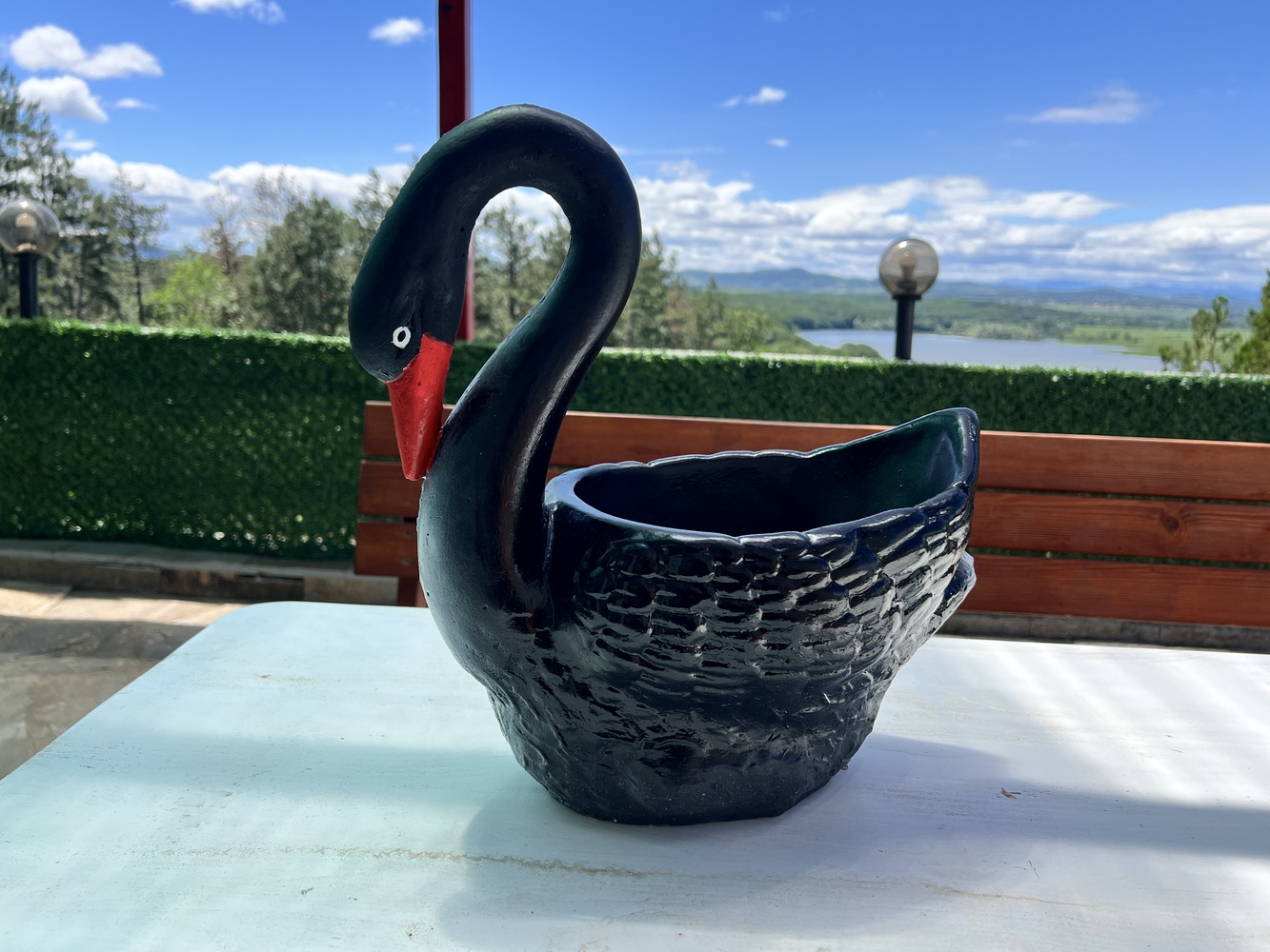 Лебед - саксия черен