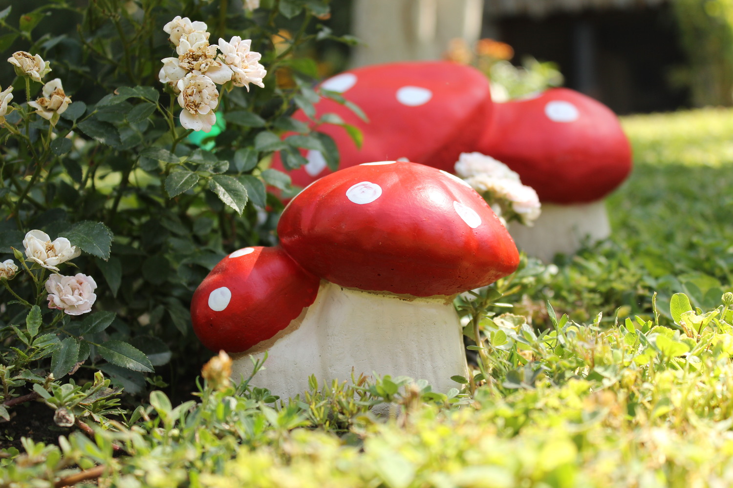 Голяма гъбка